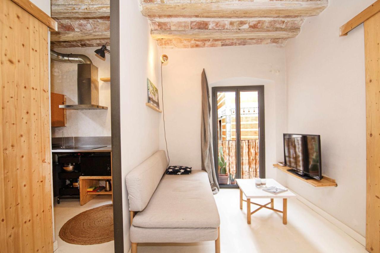 Apartamento Tr Auriga En El Barri Vell Girona Eksteriør billede