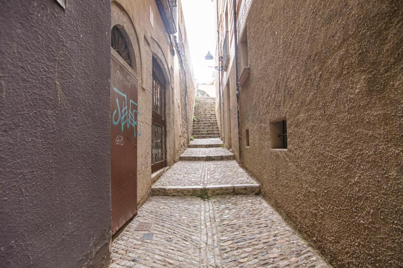 Apartamento Tr Auriga En El Barri Vell Girona Eksteriør billede
